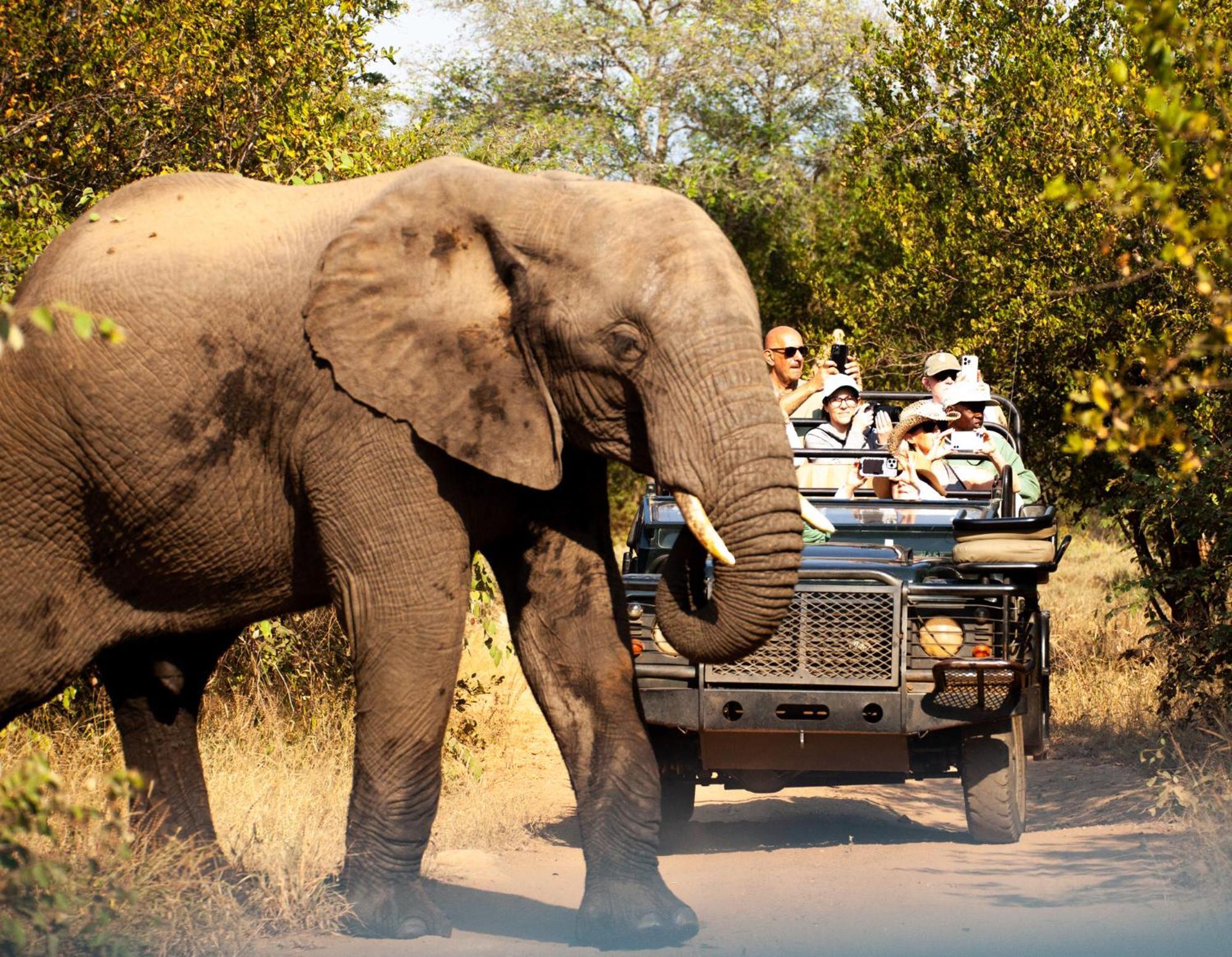 Karongwe River Lodge Karongwe Game Reserve Exterior photo